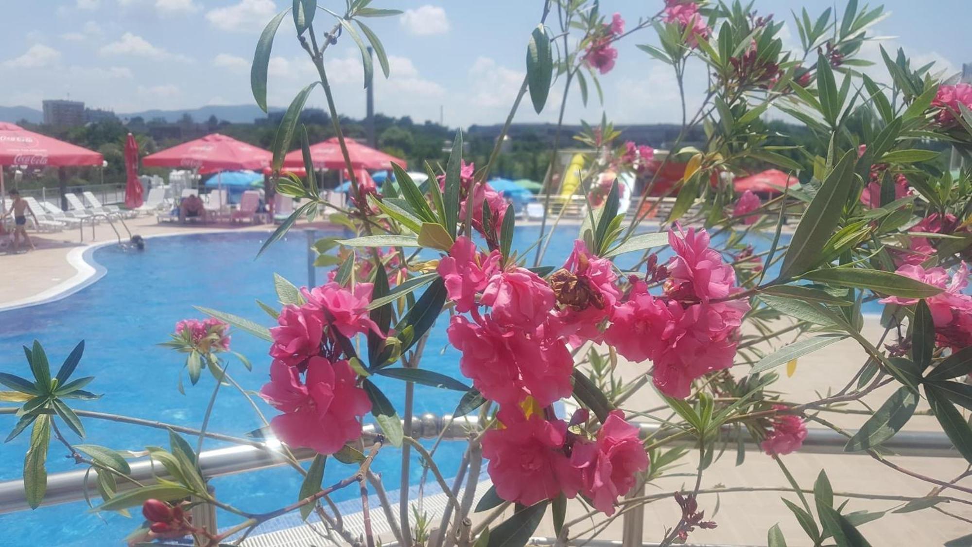 Hotel Aqua Kardzsali Kültér fotó